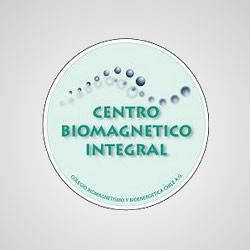 Centro de Biomagnetismo